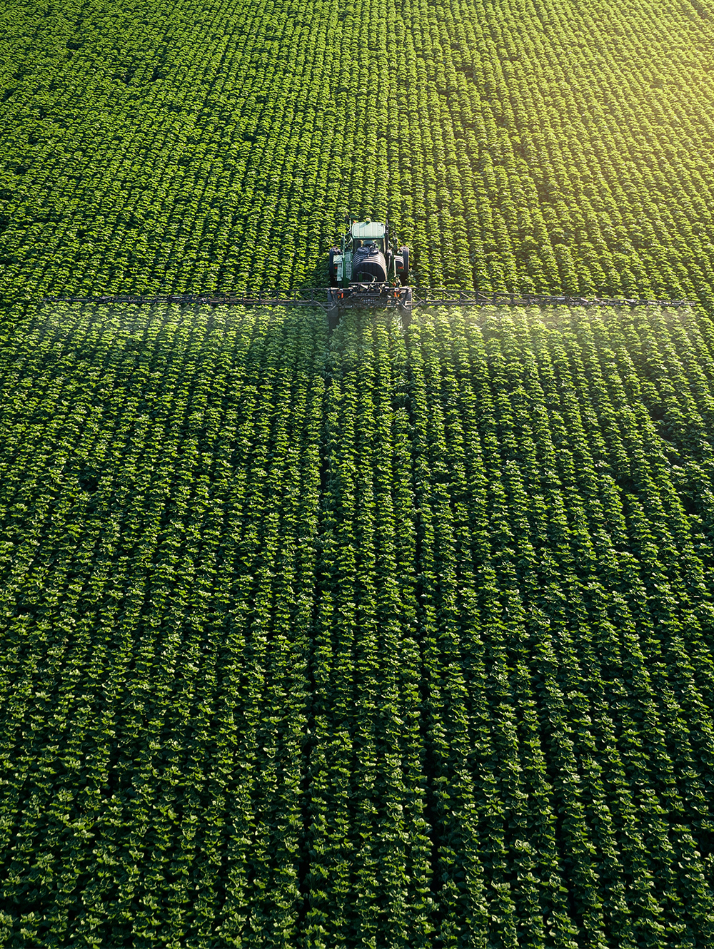 New Zealand's tobacco industry and economic contribution